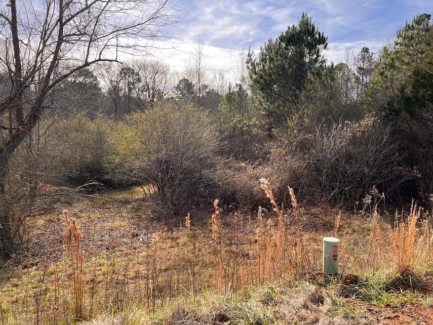 202 McGowan Springs Dr, Cross Hill, SC 29332 - photo 1