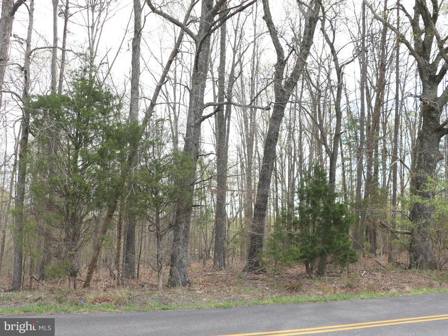 0 Mallorys Ford Rd unit 1000142097, Gordonsville, VA 22942 - photo 1