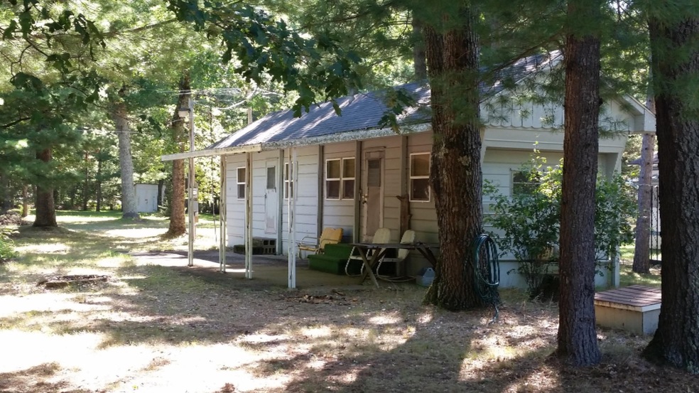 8634 Virginia Blvd, Baldwin, MI 49304 - photo 1