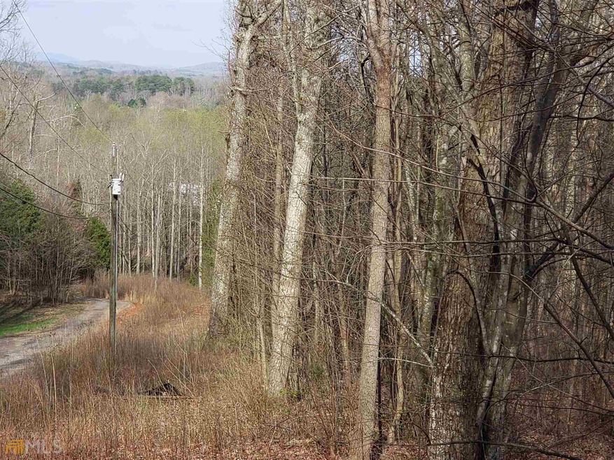 View from the bottom of the wide area of the prope