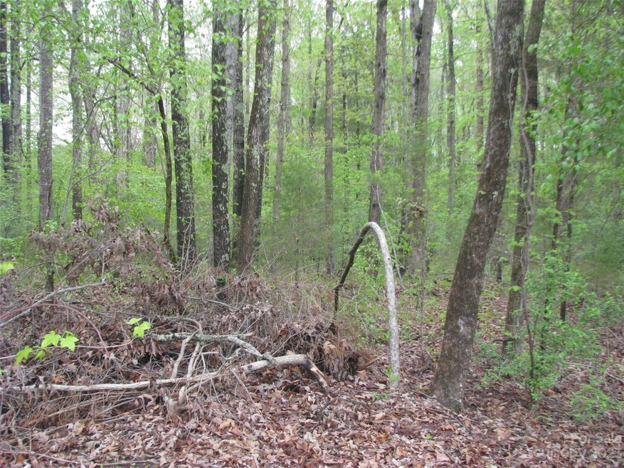 558 Akinbac Rd, Clover, SC 29710 - photo 1