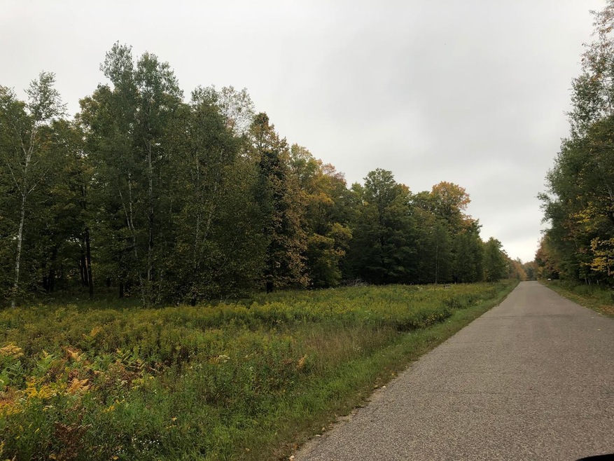 Lots 2/3 Strong Rd, Argonne, WI 54511 - photo 1