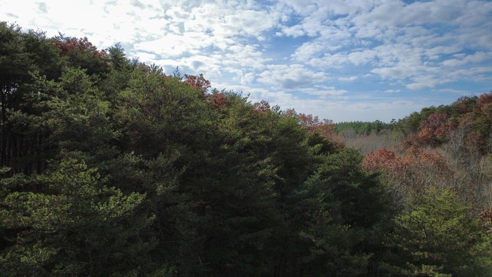 Tract 30 Gillespie Rd SE, Fairmont, GA 30139 - photo 1