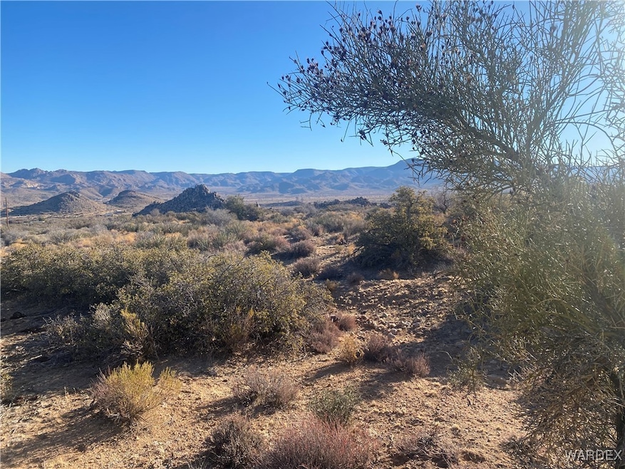 360 degree views