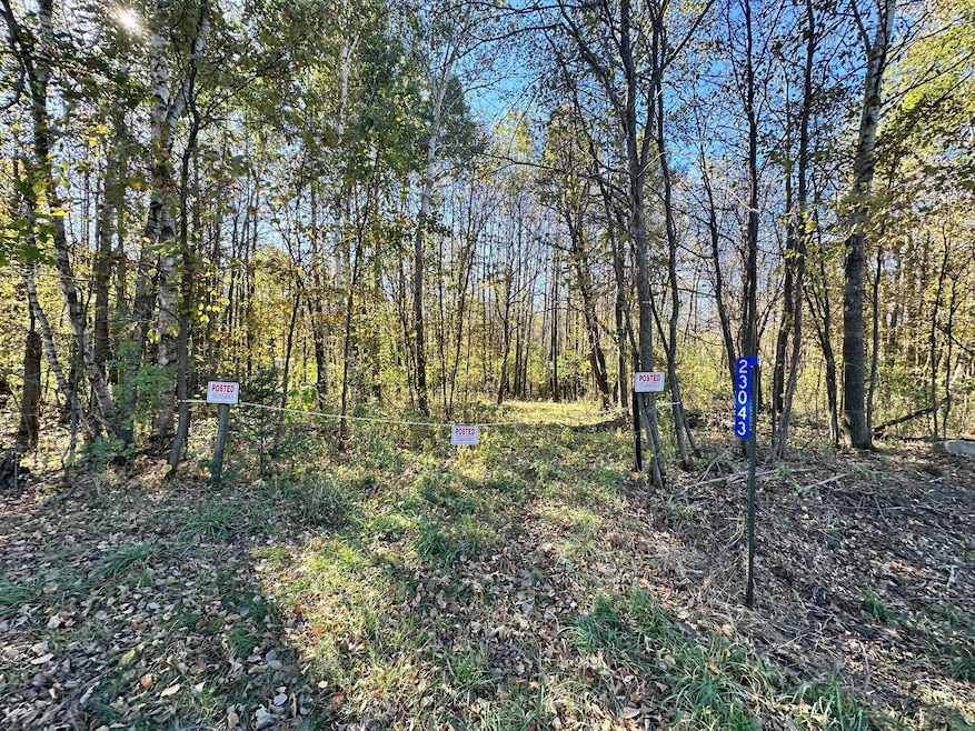 23043 210th St, Long Prairie, MN 56347 - photo 1