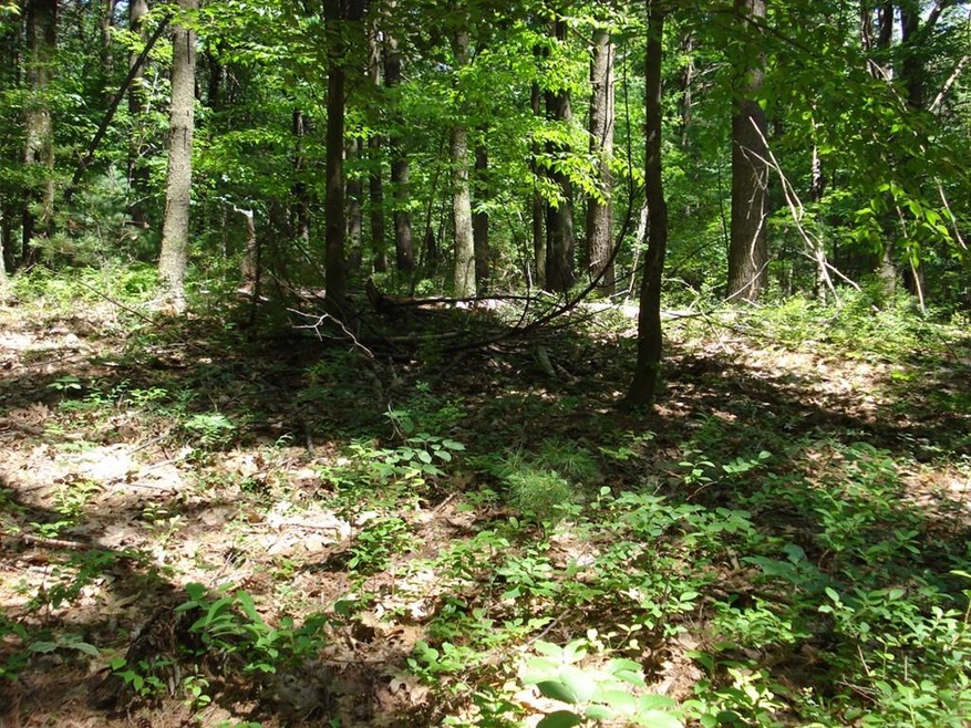 1 Nourse Rd, Bolton, MA 01740 - photo 1