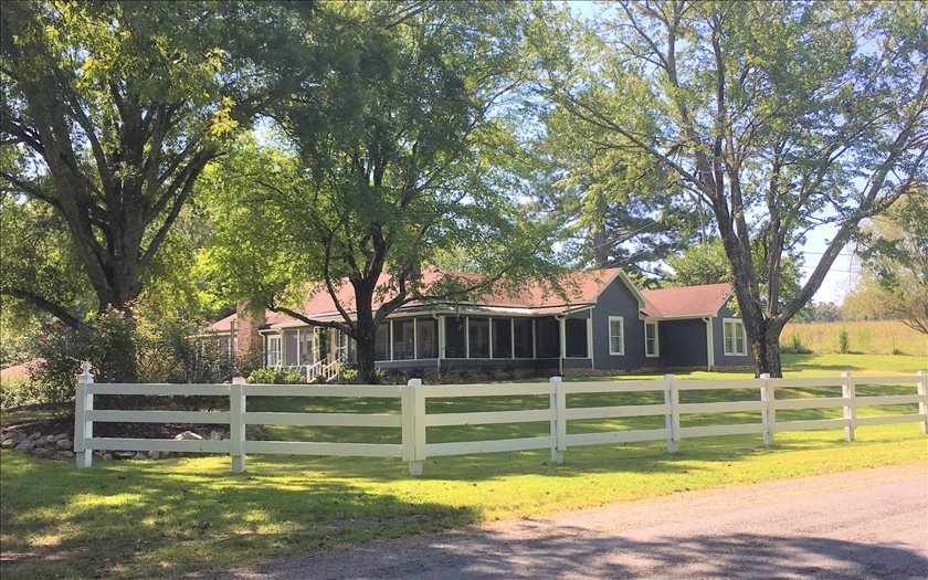 Main View