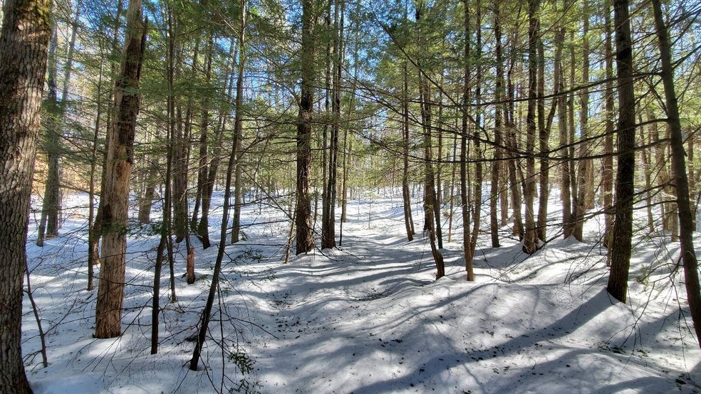 Lot slopes gently up from the road.