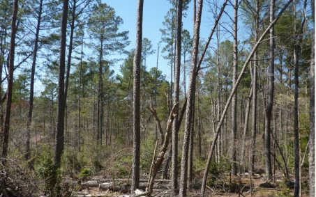 886 Matrix Ln, Ellijay, GA 30540 - photo 1