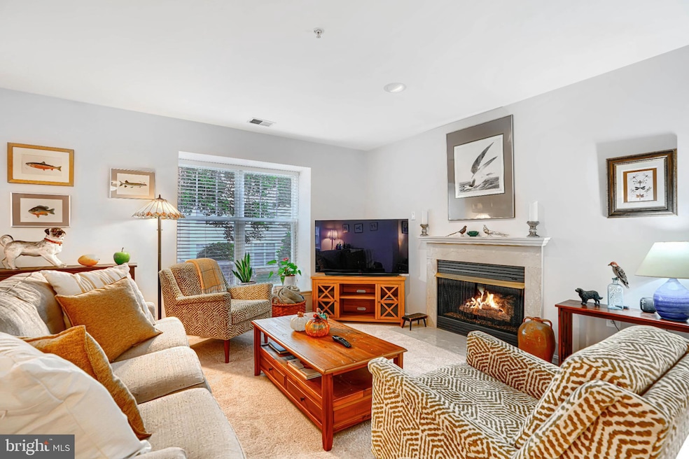 9450 Wordsworth Way unit 105, Owings Mills, MD 21117 - photo 1