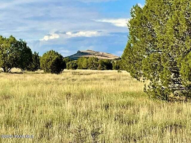 65b NE Rawhide Ranch, Ash Fork, AZ 86320 - photo 1
