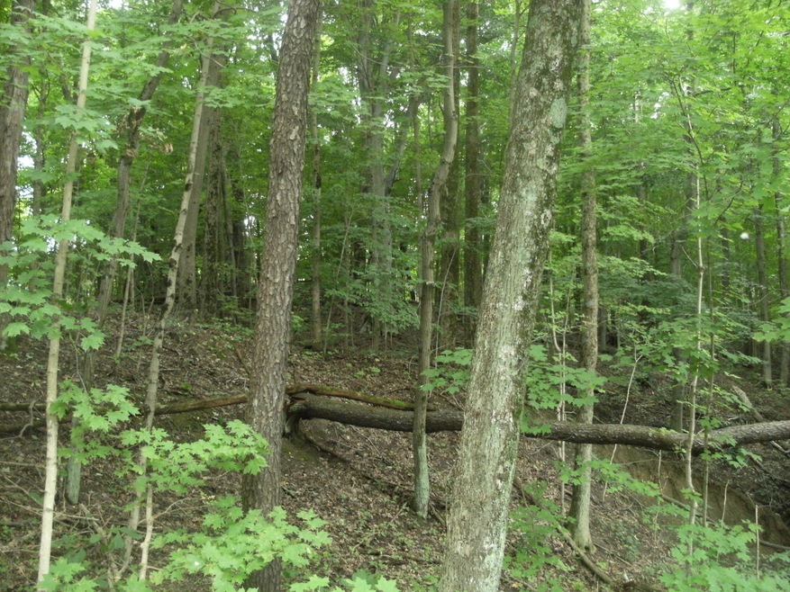 Five Acres