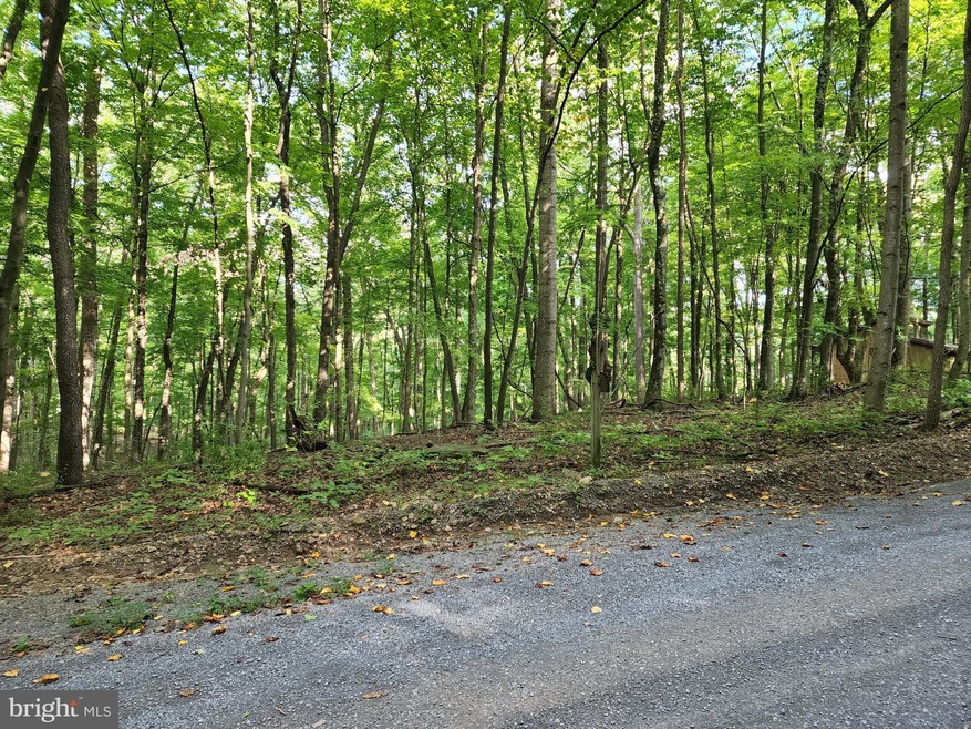 0 Dogwood Ln unit WVMO2002192, Berkeley Springs, WV 25411 - photo 1