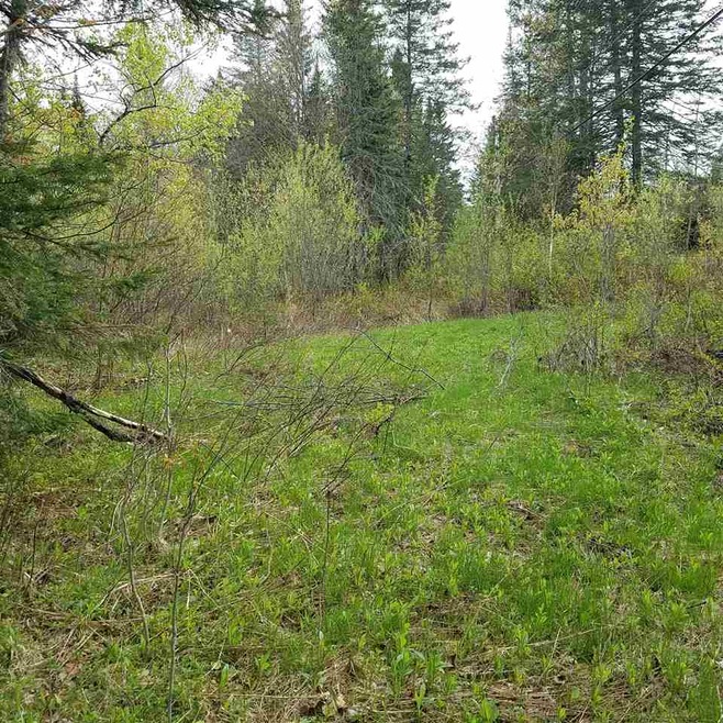 0 Newark St unit 4714978, West Burke, VT 05871 - photo 1