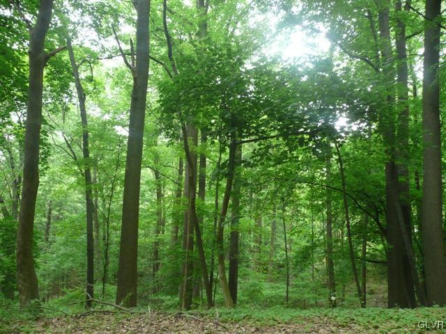 4950 Beck Rd, Emmaus, PA 18049 - photo 1