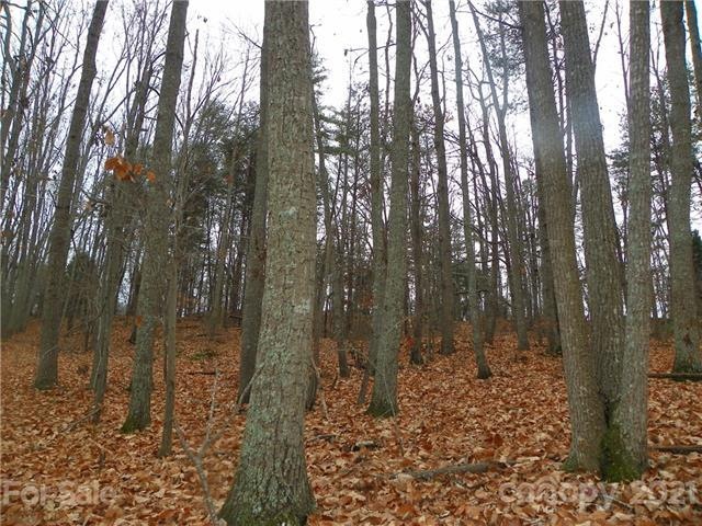 00 Sequoia Dr, Gastonia, NC 28052 - photo 1