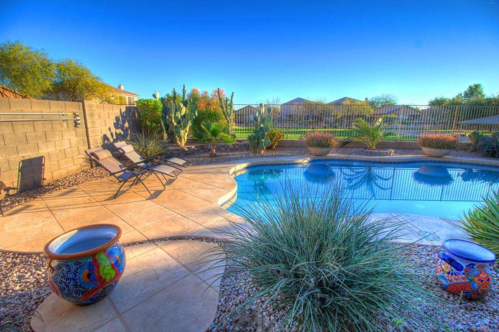 Gorgeous Rear Yard