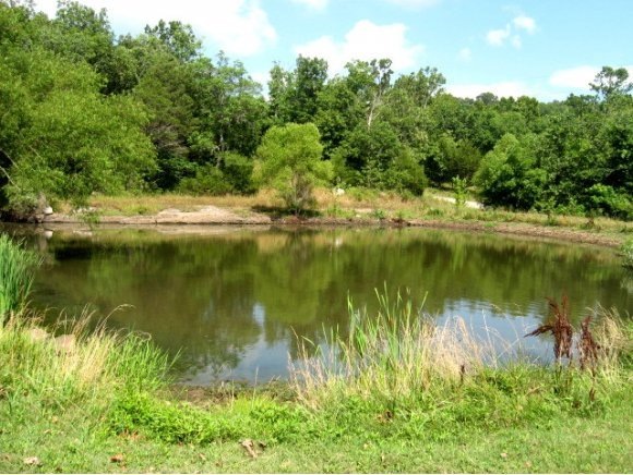 0 Farm Road 2080, Jenkins, MO 65605 - photo 1