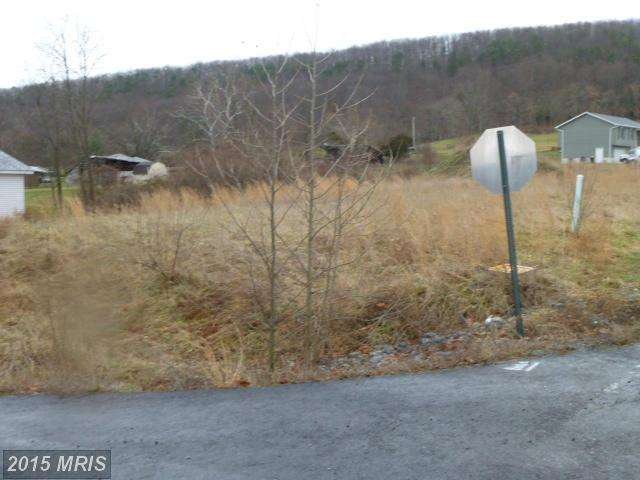 1 Sassafras Ln, Wardensville, WV 26851 - photo 1
