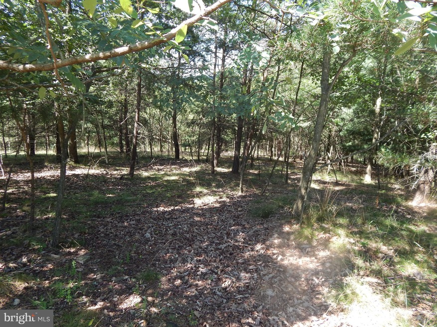 35 Montevideo Rd, Berkeley Springs, WV 25411 - photo 1