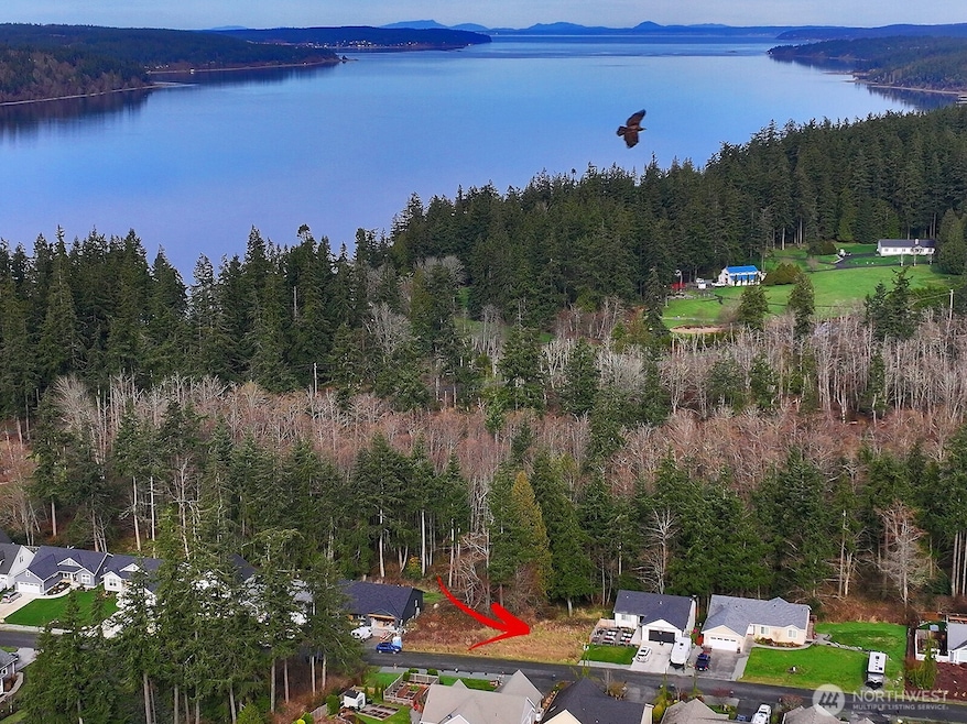 1857 Watkins Rd, Freeland, WA 98249 - photo 1