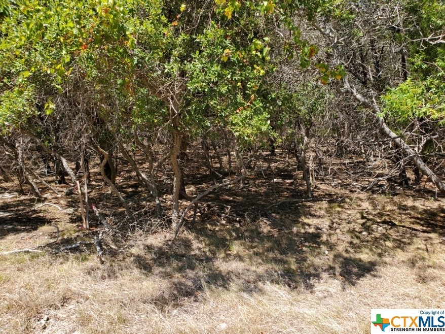 5267 Comanche Dr, Temple, TX 76502 - photo 1