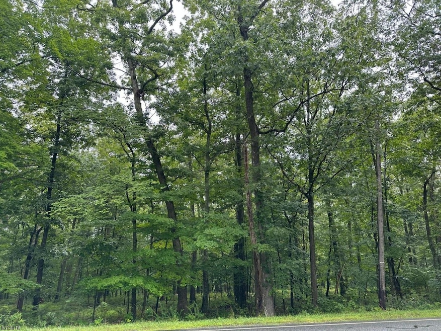 220 Mattison Reservoir Ave, Frankford, NJ 07826 - photo 1