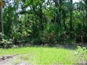 Cleared Homesite