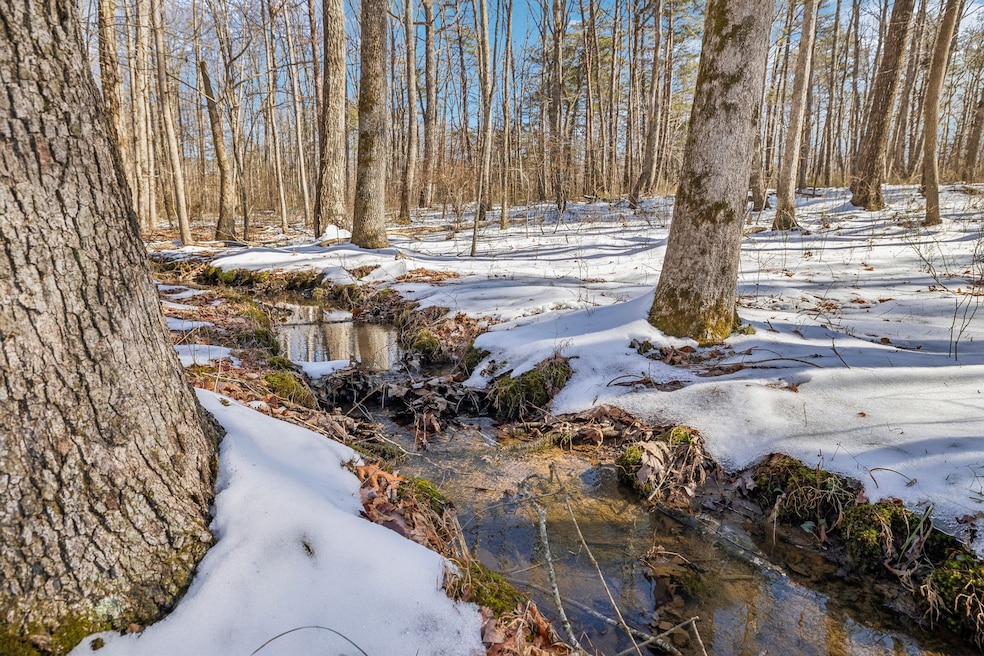Creek on property