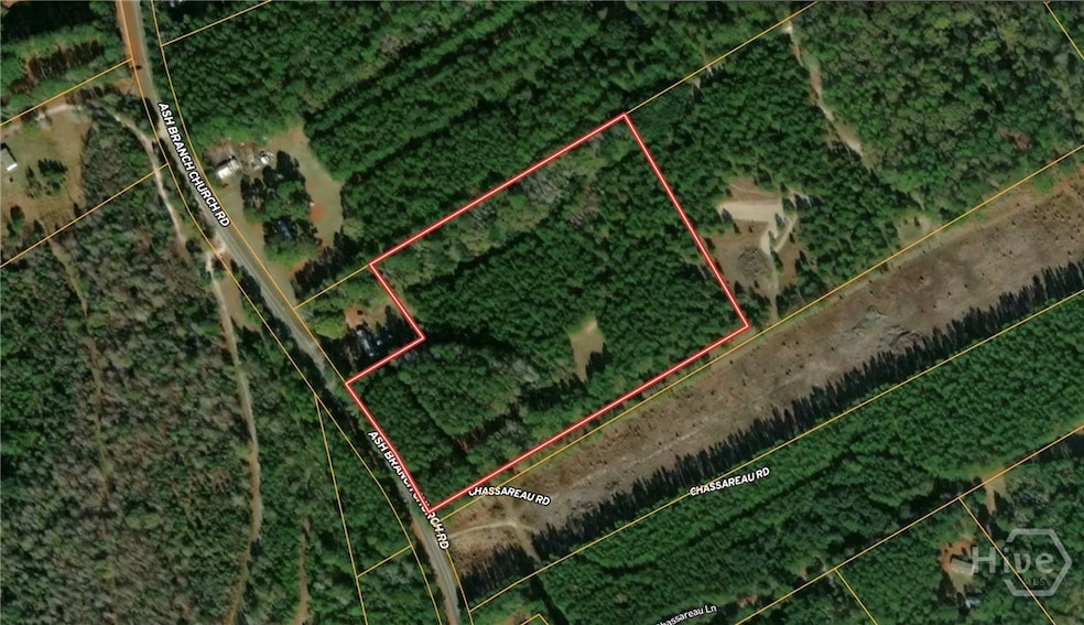 0 Ash Branch Church Rd unit SA341624, Pembroke, GA 31321 - photo 1
