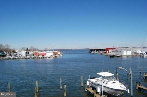 206 Cambridge Landing unit B, Cambridge, MD 21613 - photo 1