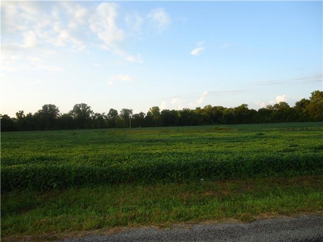 520 Hagan Rd, Prospect, TN 38477 - photo 1