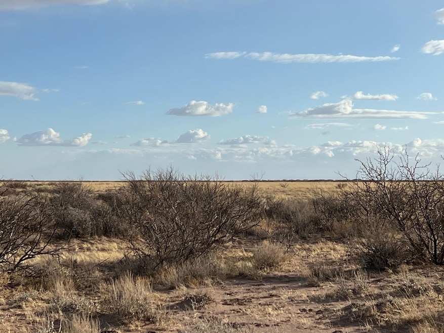 Bahia Rd, Deming, NM 88030 - photo 1