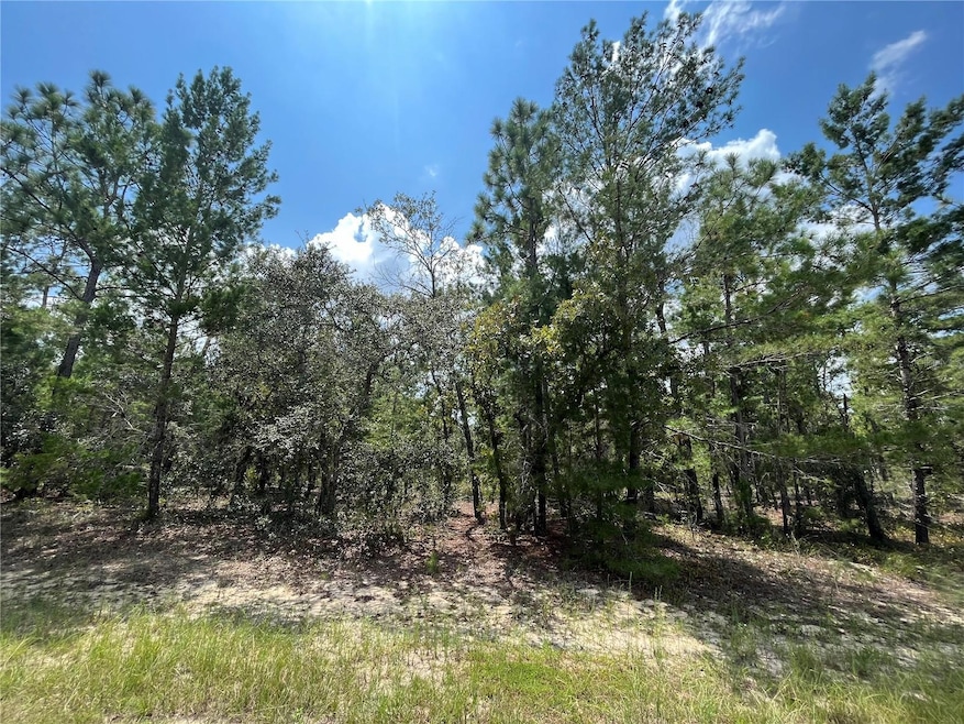 6253 Emory Ave, Keystone Heights, FL 32656 - photo 1