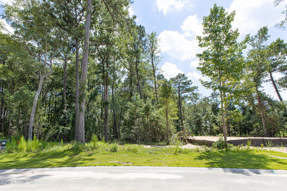 6077 Ocean Isle Palms Way-1