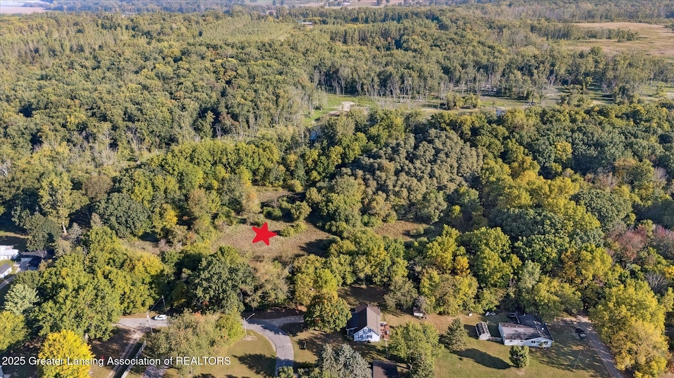 V/L Mill St, Maple Rapids, MI 48853 - photo 1