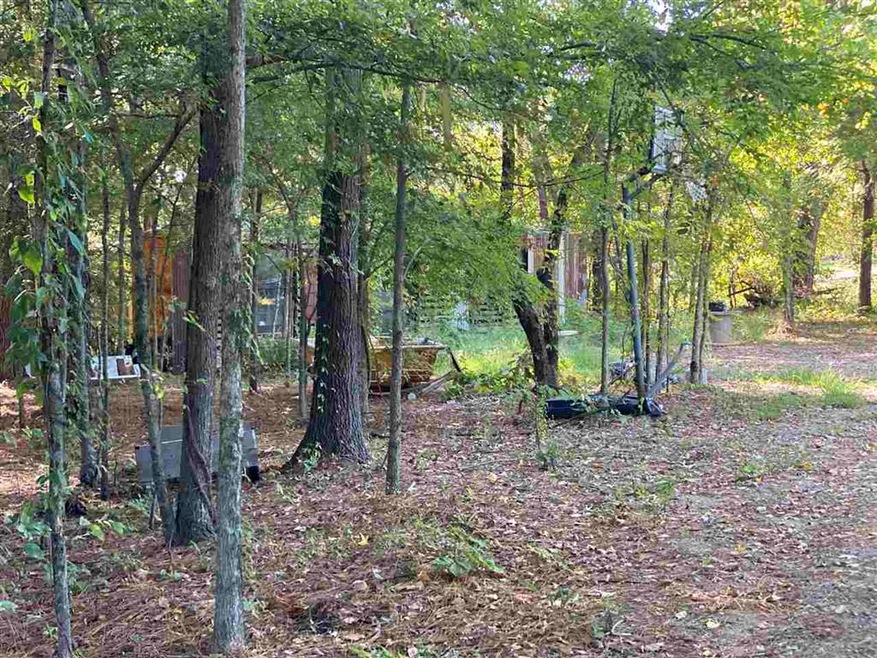 257 Cr-2313, Texarkana, TX 75503 - photo 1