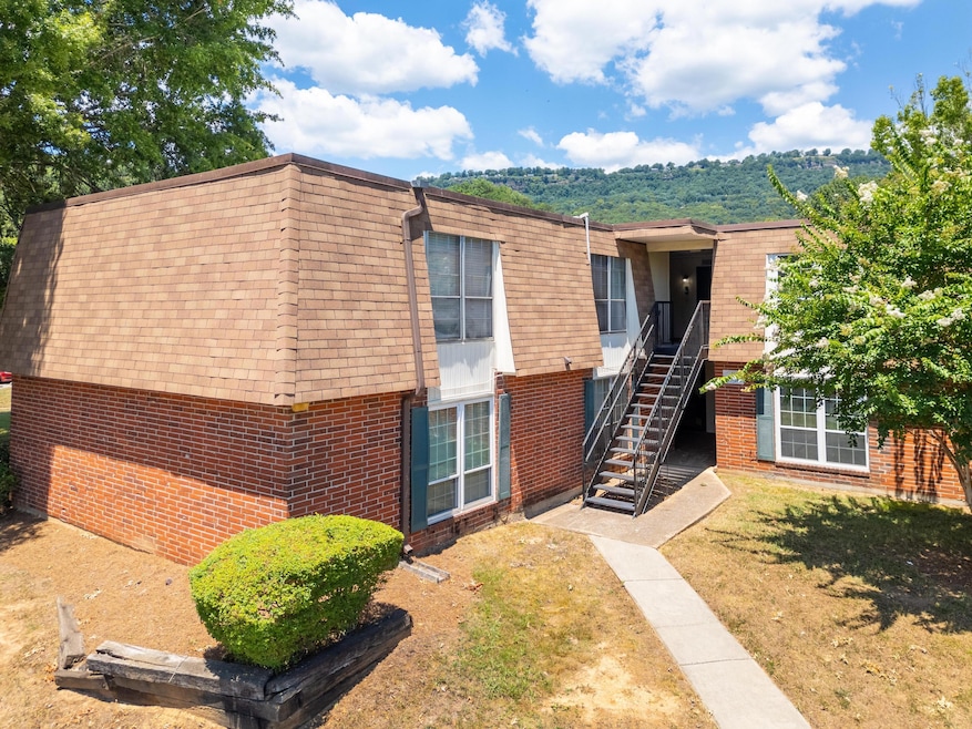 2024_07_July_900_Mountain_Creek_Rd_0001