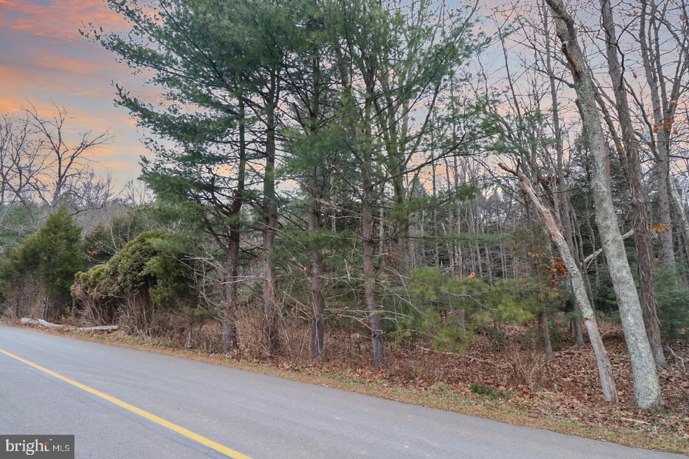 141 Wild Turkey Ln, New Ringgold, PA 17960 - photo 1