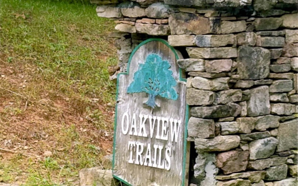 00 Oak View Trail, Cleveland, GA 30528 - photo 1