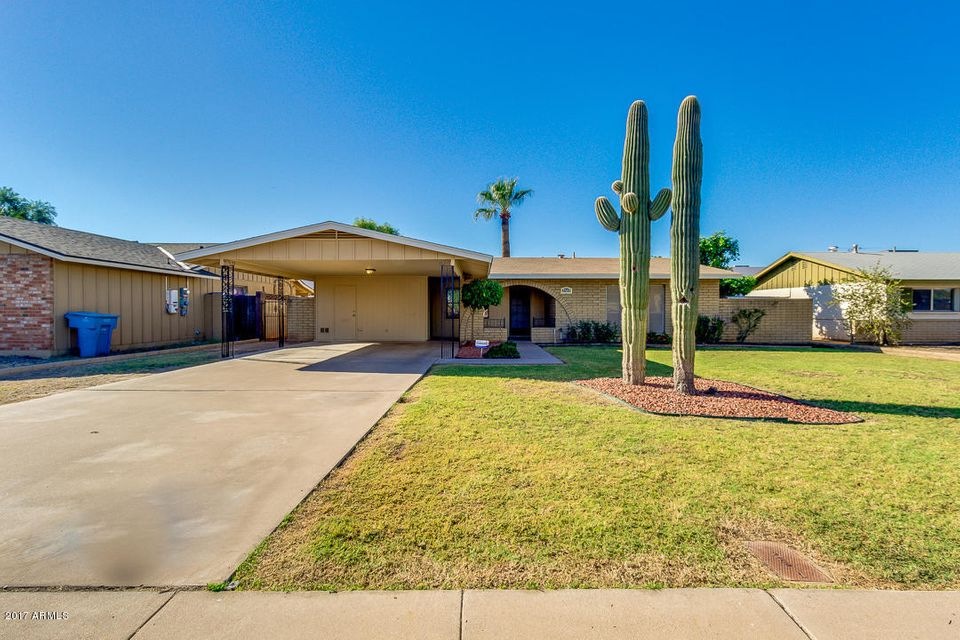 01-Sahuaro