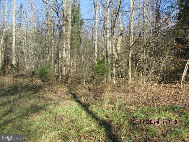 0 Mcduff Rd unit 1003284534, Caroline, VA 22546 - photo 1