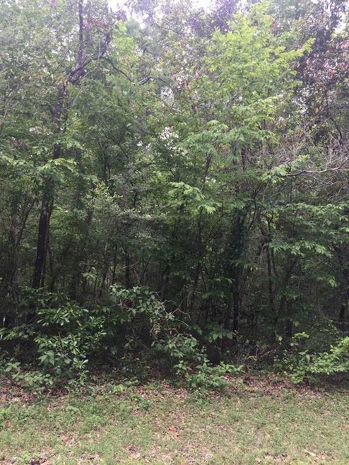 xxx Governors Way, Crawfordville, FL 32327 - photo 1