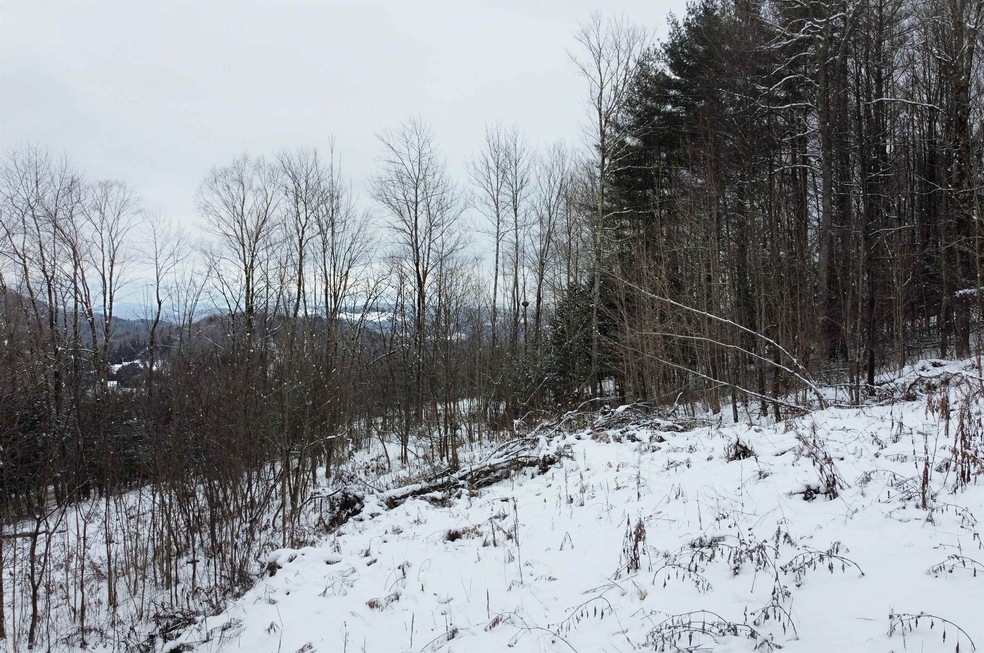 431 Bible Hill Rd, Saint Johnsbury, VT 05819 - photo 1