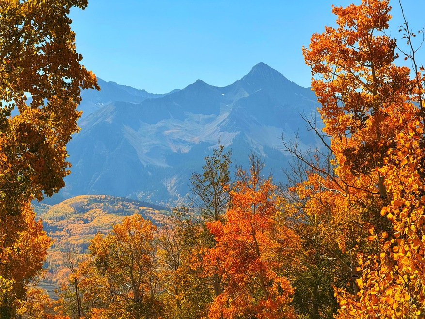 Wilson Peak View