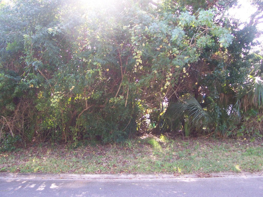 819 E 14th Ave, New Smyrna Beach, FL 32169 - photo 1