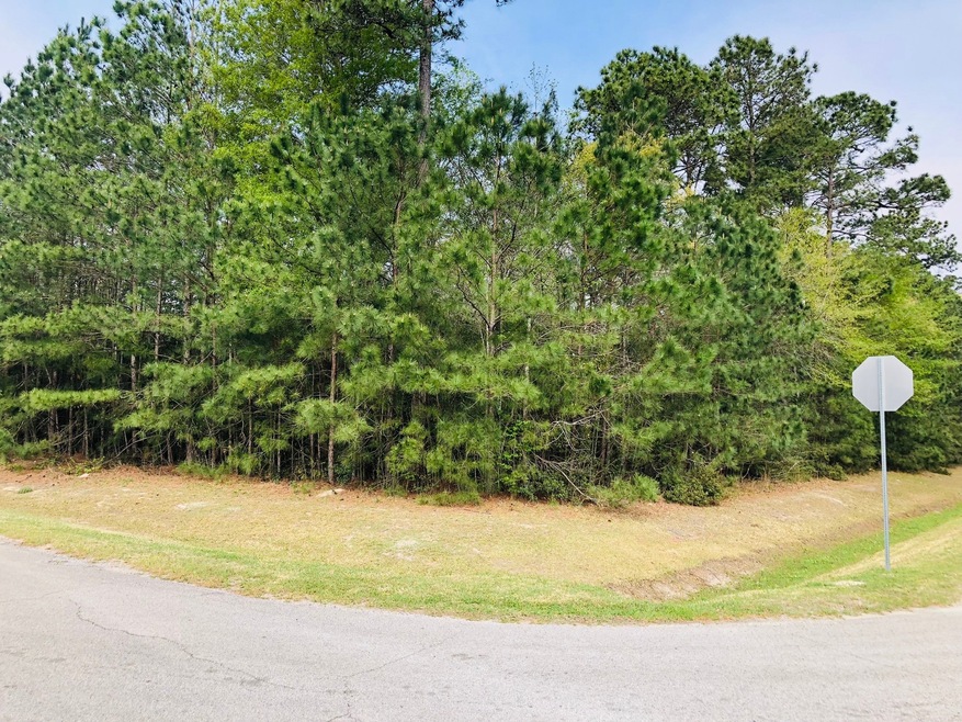 27319 E Benders Landing Blvd, Spring, TX 77386 - photo 1