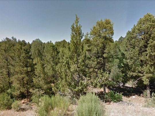 0 Zion Hunting Est Blk 2 Lot 37 unit 2807675, Duck Creek Village, UT 84762 - photo 1