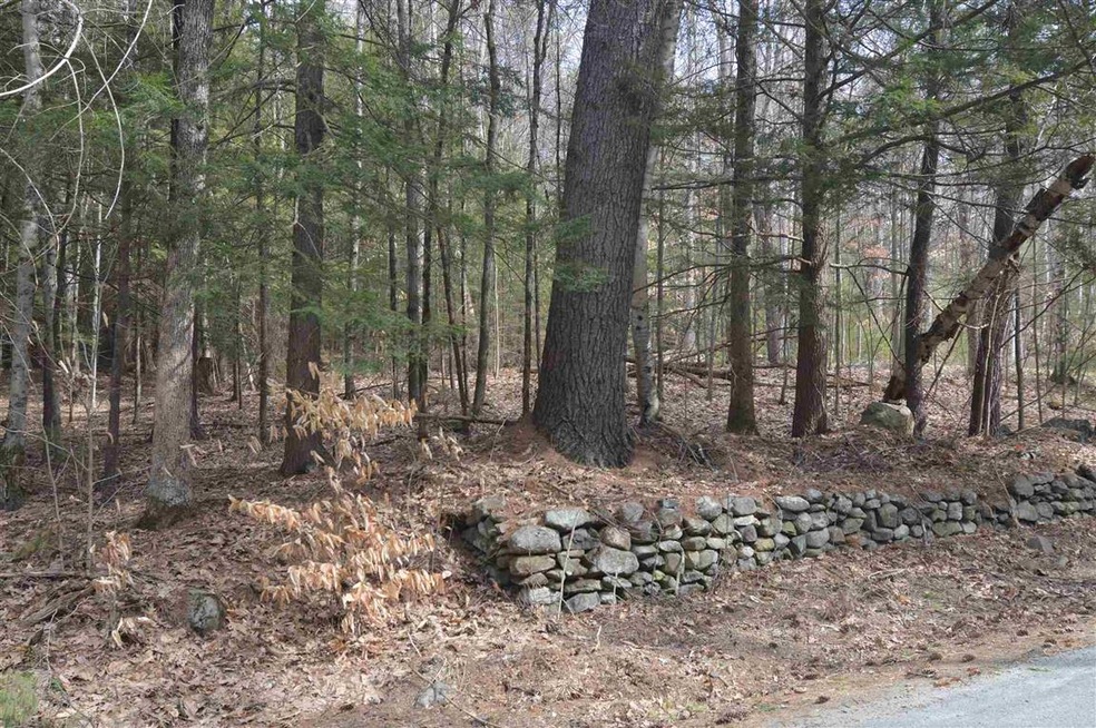 130 Rabbit Hollow Rd, Winchester, NH 03470 - photo 1