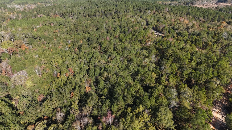 Raymond Loop, Dozier, AL 36028 - photo 1